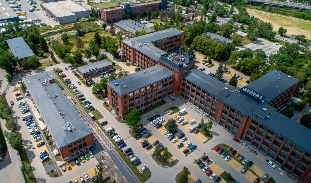 bierutowska-ilustracja